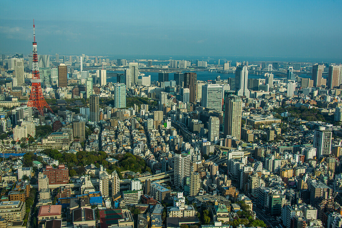 View over Tokyo with the Tokyo Tower, from the Mori tower, Roppongi Hills, Tokyo, Honshu, Japan, Asia