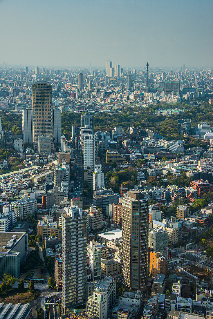 View over Tokyo from the Roppongi Hills, Tokyo, Honshu, Japan, Asia