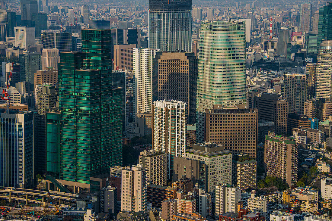 Blick über Tokio vom Mori Tower, Roppongi Hills, Tokio, Honshu, Japan, Asien