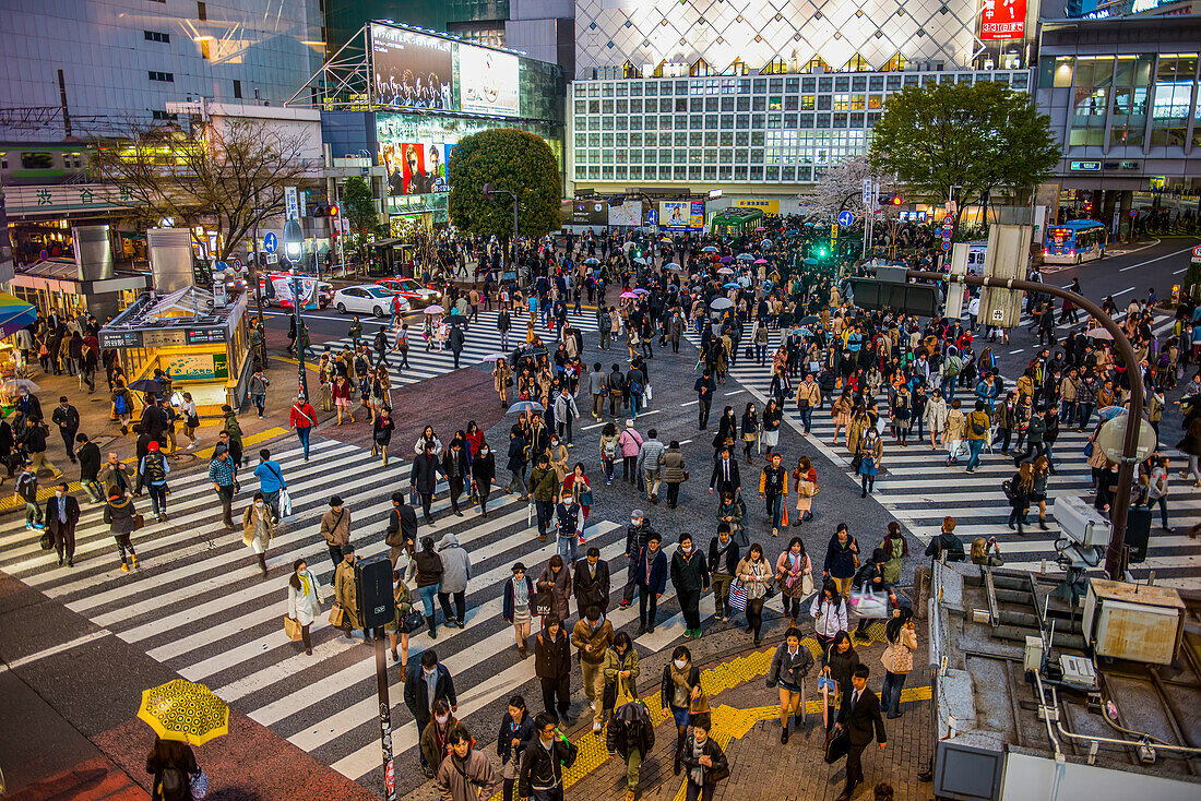 Menschen überqueren die belebteste Straßenkreuzung, Shibuya-Kreuzung, Tokio, Honshu, Japan, Asien