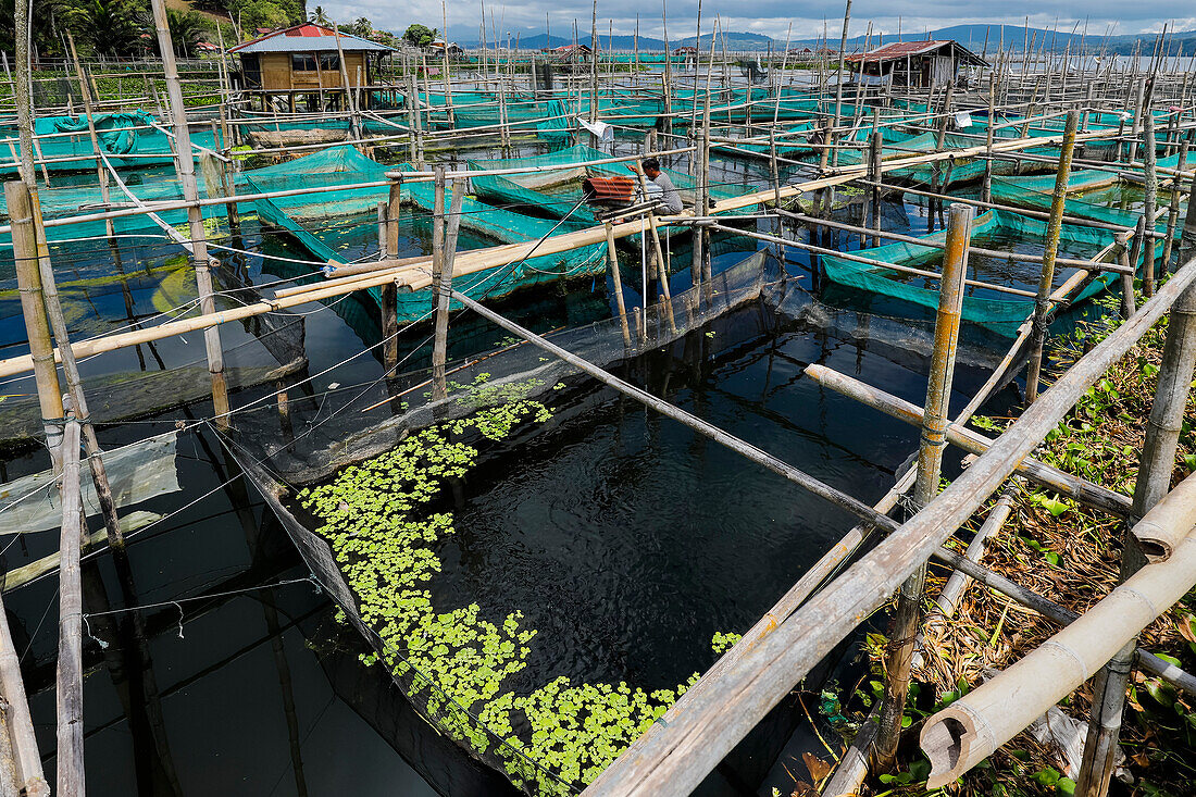 Bambus- und Netzfischzucht an diesem großen See, der unter der Hitze des Klimawandels, Schadstoffen und Sauerstoffmangel leidet, Tondano-See, Minahasa, Nordsulawesi, Indonesien, Südostasien, Asien