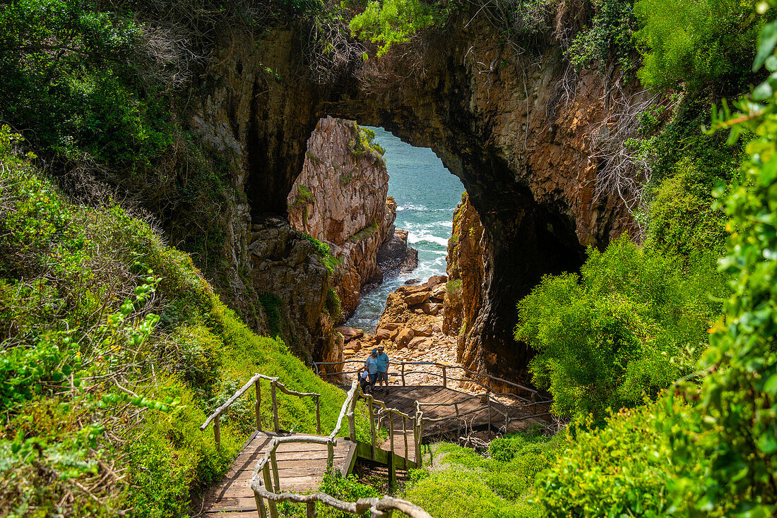 Blick auf die Featherbed Meereshöhlen und die Küstenlinie im Featherbed Nature Reserve, Knysna, Garden Route, Westkap, Südafrika, Afrika