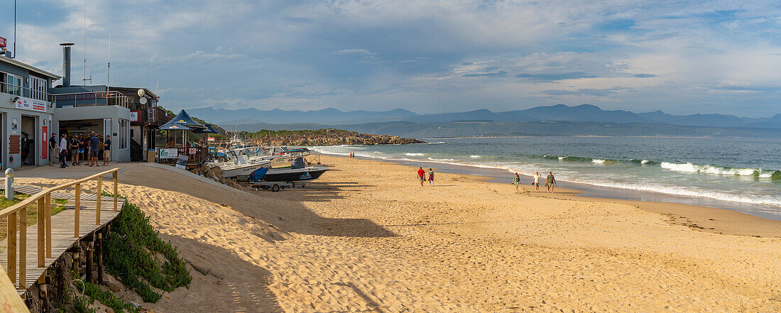 Blick auf den Central Beach in Plettenberg Bay, Plettenberg, Garden Route, Westkap-Provinz, Südafrika, Afrika