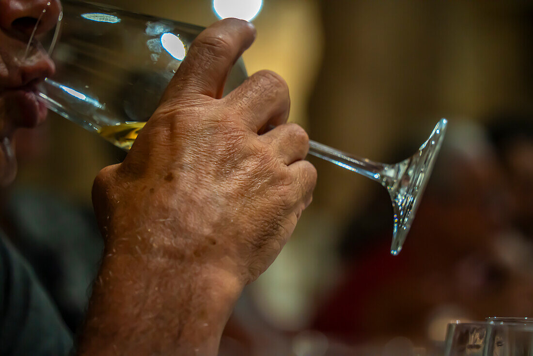 View of people sampling wine at Robertson Kooperatiewe Wynmakery, Robertson, Western Cape, South Africa, Africa