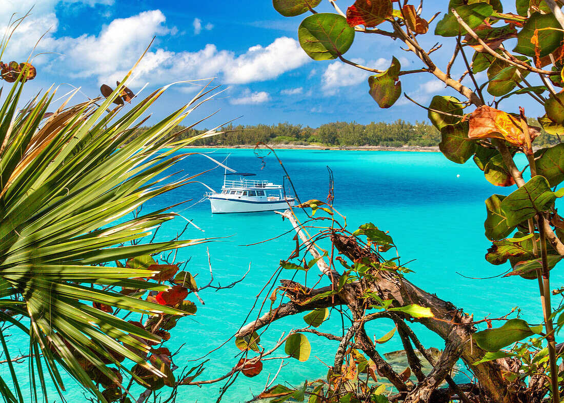 Ein Boot des örtlichen Aquariums und Zoos, das vor Nonsuch Island, Naturreservat oder Lebendes Museum, Bermuda, Nordatlantik, Nordamerika, festgemacht hat