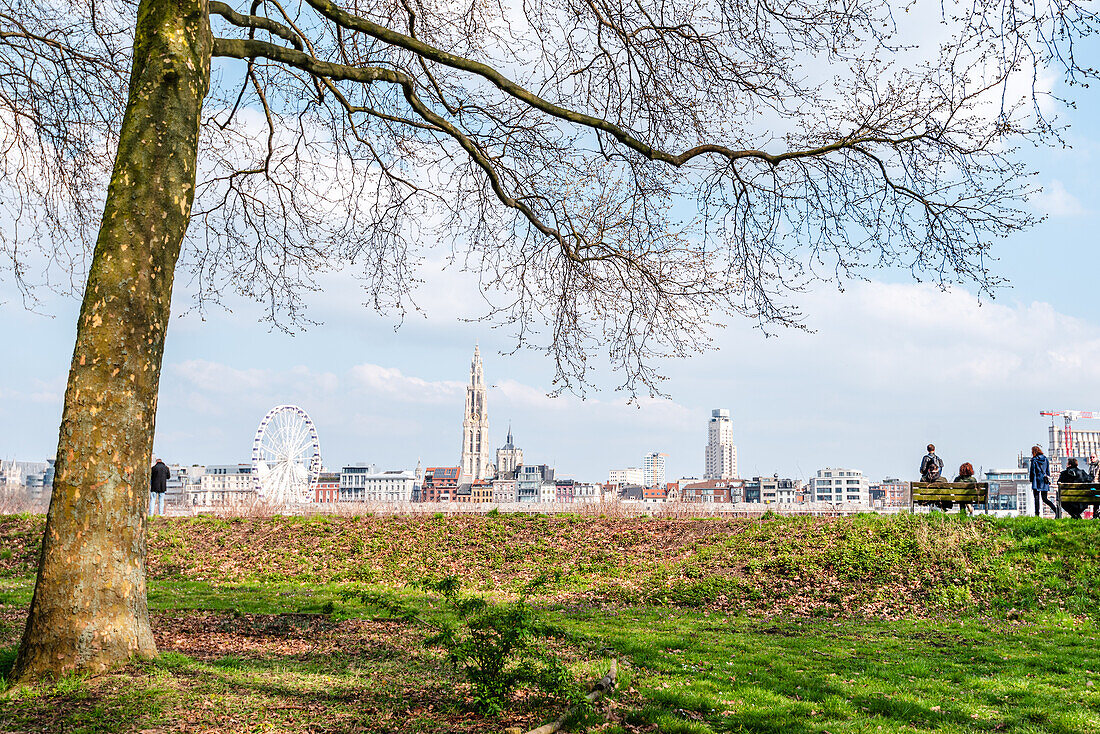 Blick auf die Skyline von Antwerpen über den Fluss Schelde von einem Park aus, Scheldekaaien Linkeroeve, Antwerpen, Belgien, Europa