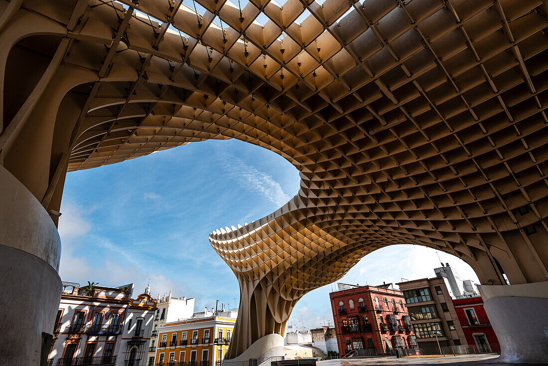 Setas de Sevilla, Seville, Andalusia, Spain, Europe