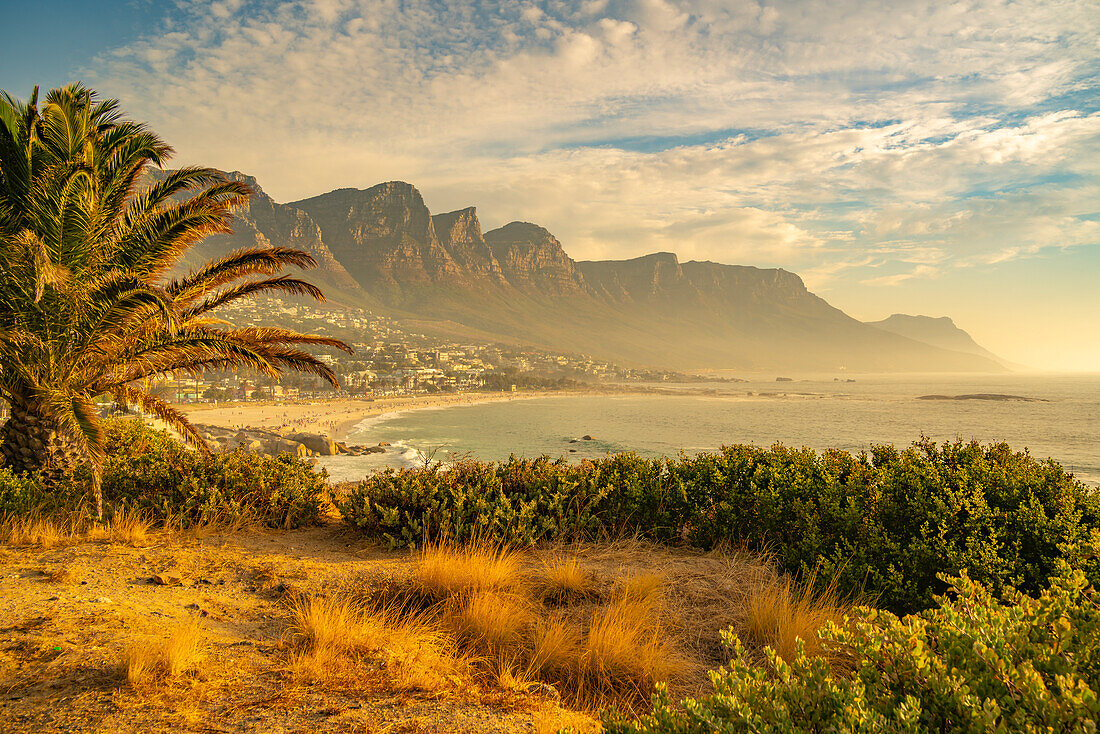 Blick auf die Zwölf (12) Apostel, Tafelberg-Naturschutzgebiet von Camps Bay, Kapstadt, Westkap, Südafrika, Afrika