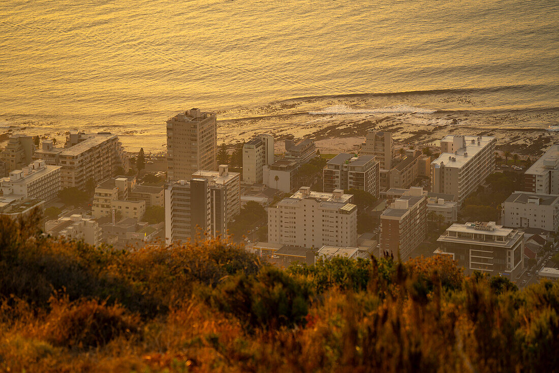 View of Sea Point from Signal Hill at sunset, Cape Town, Western Cape, South Africa, Africa