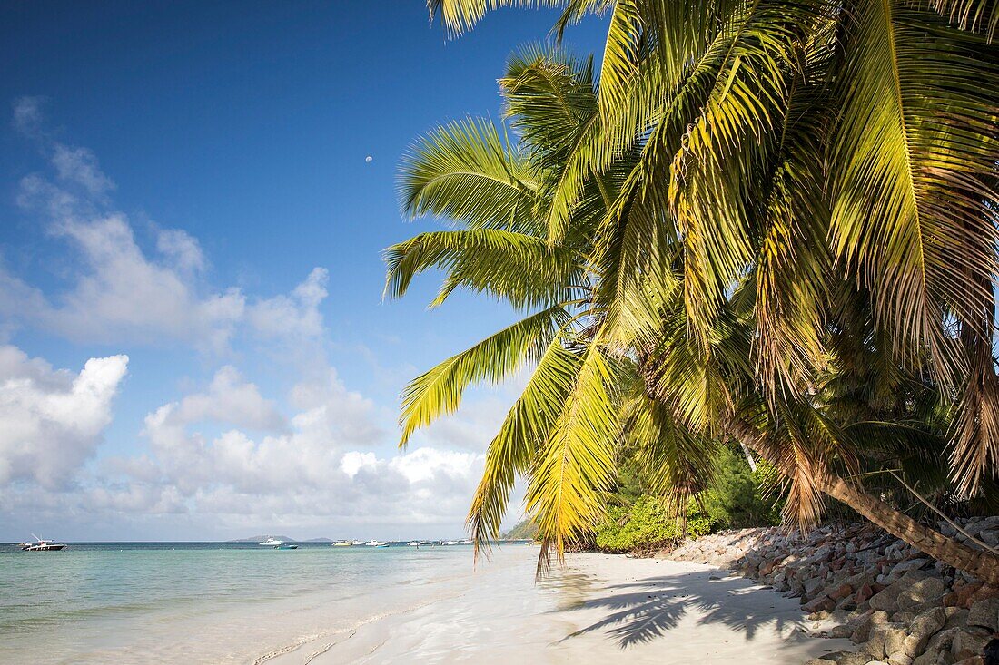 Seychellen, Praslin, Anse Volbert, Strand