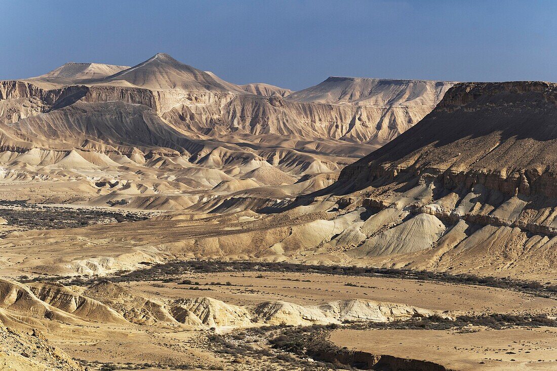 Israel, South District, Negev Desert, Ein Avdat Canyon