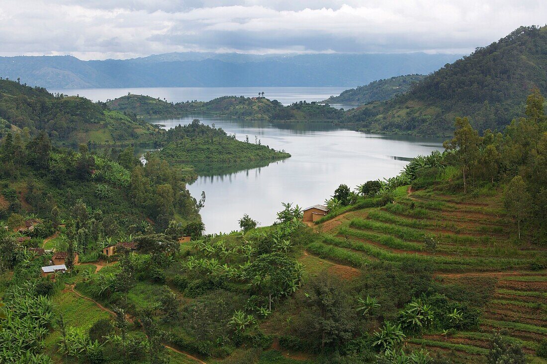 Rwanda, Lake Kivu, green hills on a shore of Lake Kivu, on the border with the Democratic Republic of Congo