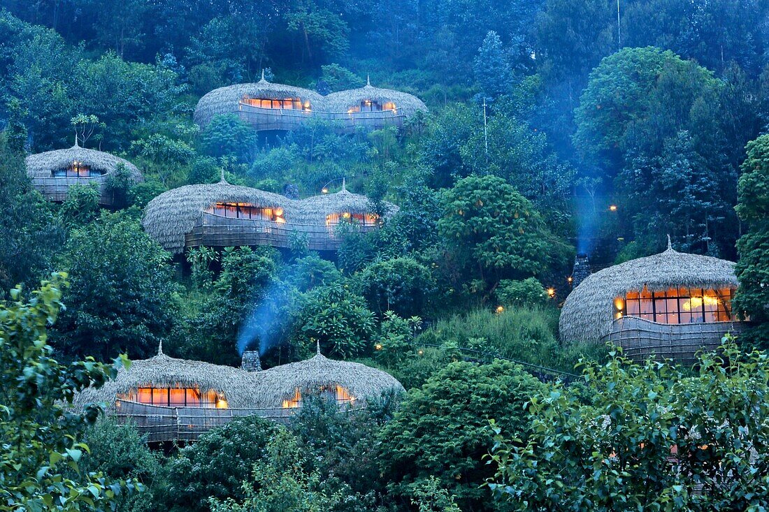 Ruanda, Volcanoes-Nationalpark, strohgedeckte Villen der Bisote-Lodge der Hotelgruppe Wildreness Safaris, die auf einem bewachsenen Hügel stehen