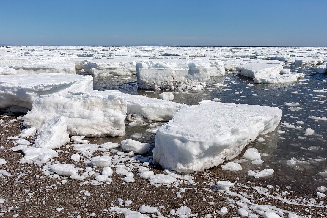 Kanada, Provinz New Brunswick, Region Chaleur, Chaleur Bay, Beresford Beach während der Eisschmelze im Frühjahr