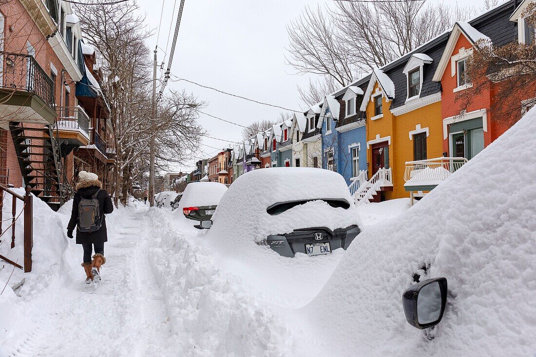 Canada, Quebec province, Montreal, Plateau-Mont-Royal neighborhood after a snowstorm