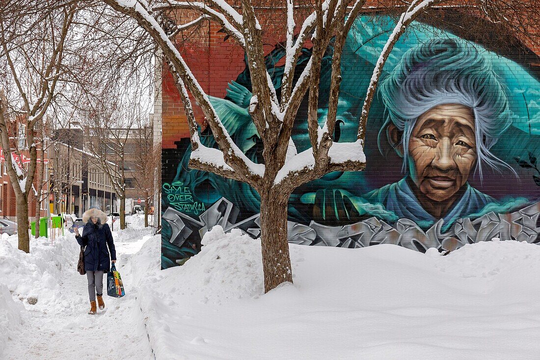 Canada, Quebec province, Montreal, the Plateau-Mont-Royal district after a snowstorm