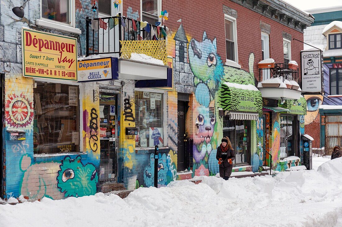 Kanada, Provinz Québec, Montreal, der Stadtteil Plateau-Mont-Royal nach einem Schneesturm