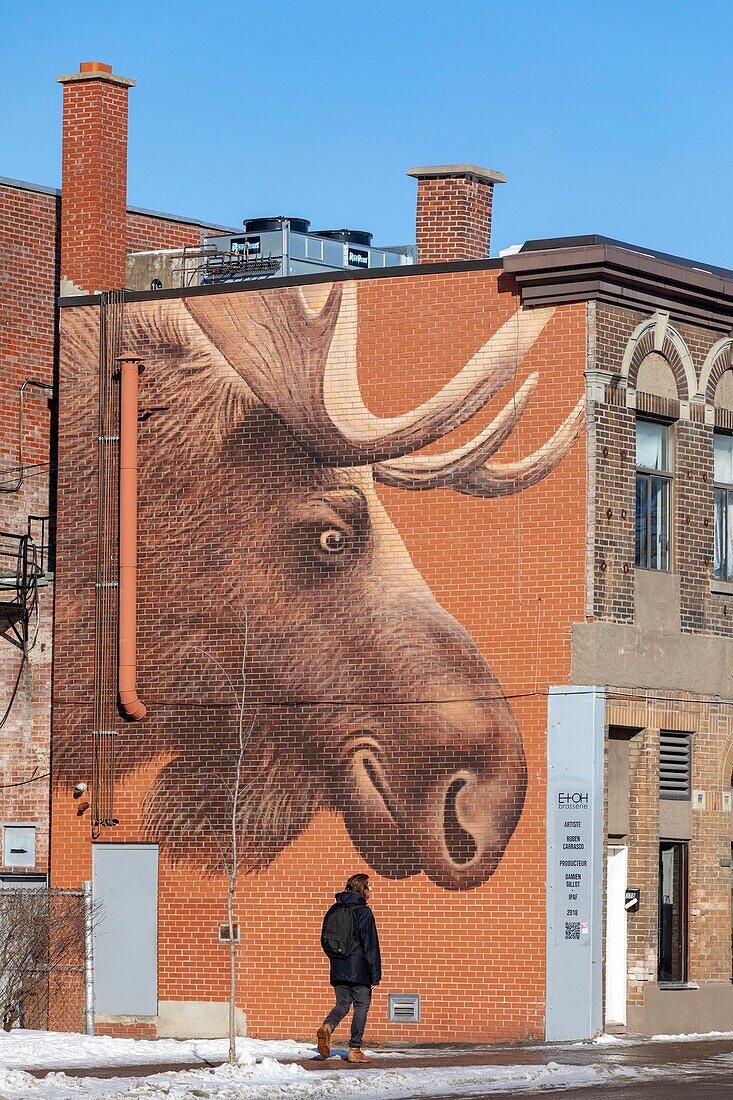 Canada, Quebec province, Montreal, Villeray neighborhood, Jarry-Est street, EtOH Brasserie and its moose mural