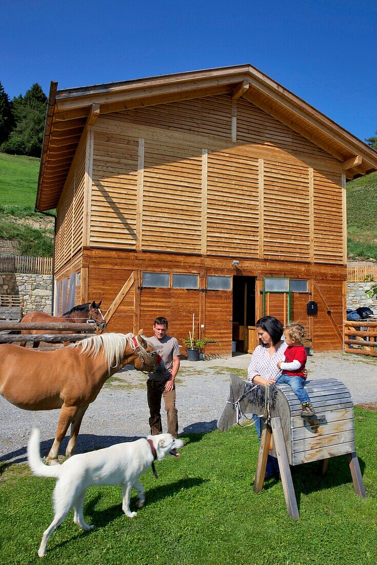 Italy, autonomous province of Bolzano, Gurschler family with their horses and their dog in the Grushof alpine farm, located in the heights of Glorenza