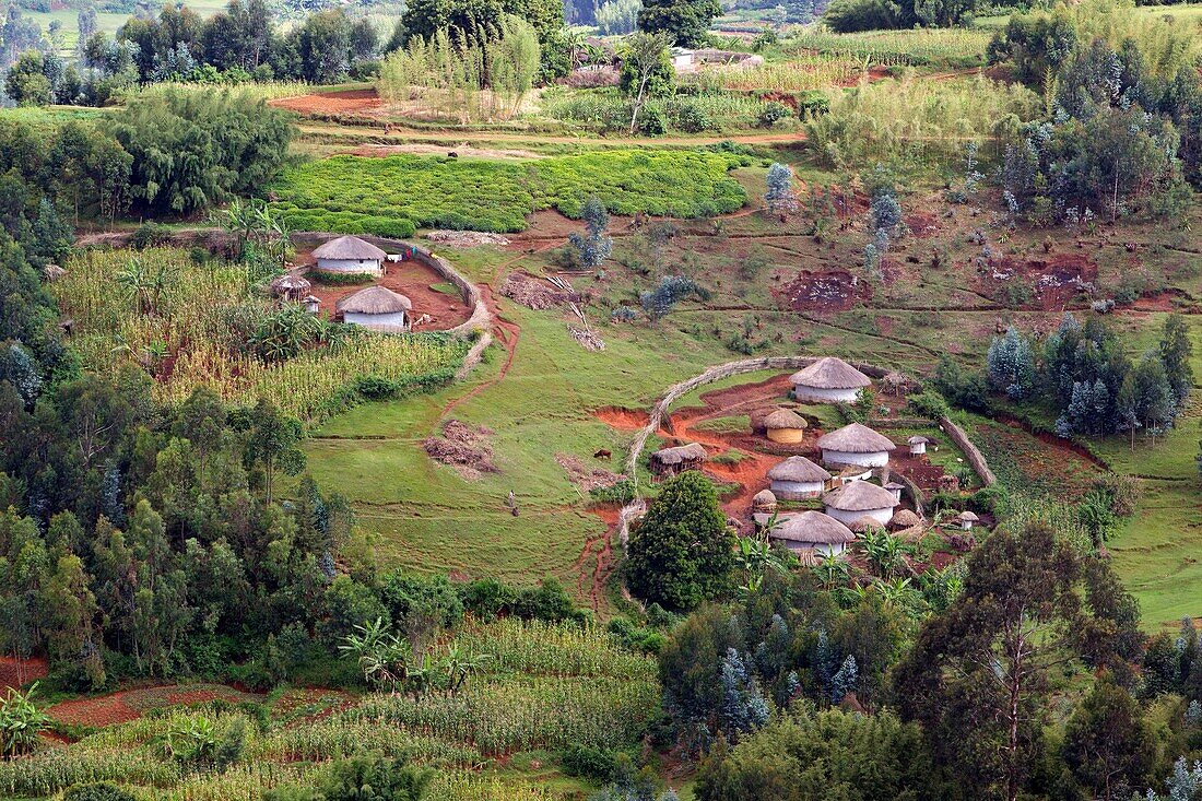 Burundi, Mugamba, Tablett, Land der tausend Hügel, traditioneller Lebensraum der Rugos