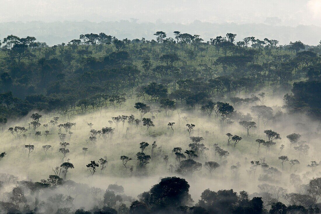 Burundi, Ruvubu-Nationalpark, Morgennebel