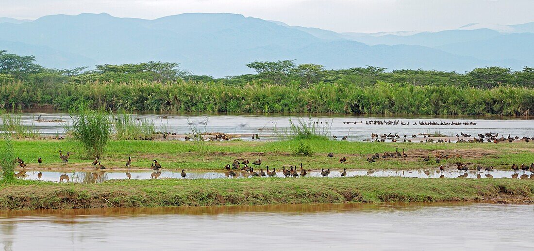 Burundi, Rusizi National Park