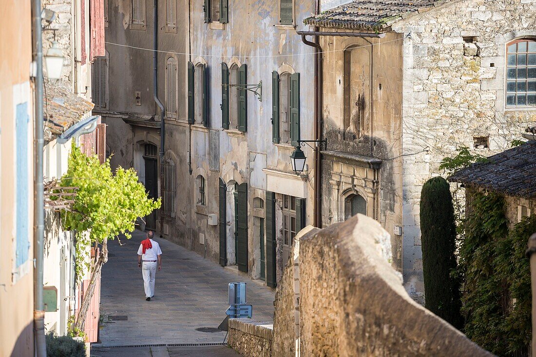 France, Vaucluse, regional natural park of Luberon, Ménerbes, labeled the Most Beautiful Villages of France