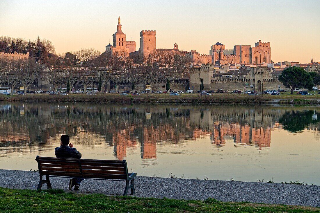 France, Vaucluse, Avignon, the Rhone river the Cathedral of Doms dating from the 12th century and the Papal Palace listed UNESCO World Heritage