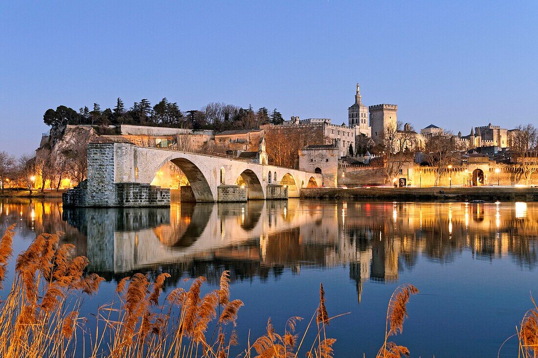 Frankreich, Vaucluse, Avignon, Brücke Saint Benezet über die Rhone aus dem 12. Jahrhundert, im Hintergrund die Kathedrale von Doms aus dem 12. Jahrhundert und der zum UNESCO-Weltkulturerbe gehörende Papstpalast