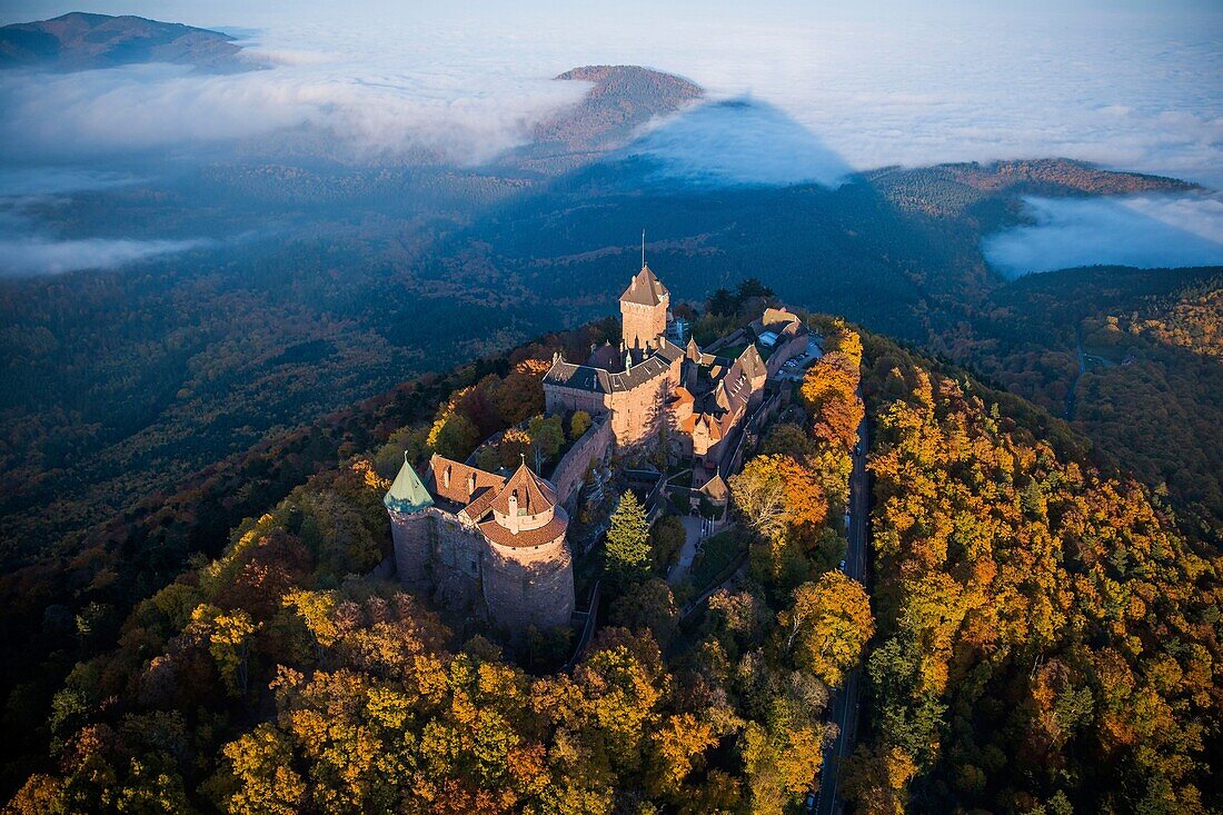 France, Bas Rhin, Orschwiller, Alsace Wine road, Haut Koenigsbourg Castle (aerial view)