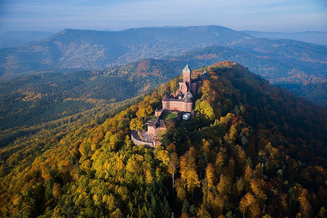 France, Bas Rhin, Orschwiller, Alsace Wine road, Haut Koenigsbourg Castle (aerial view)