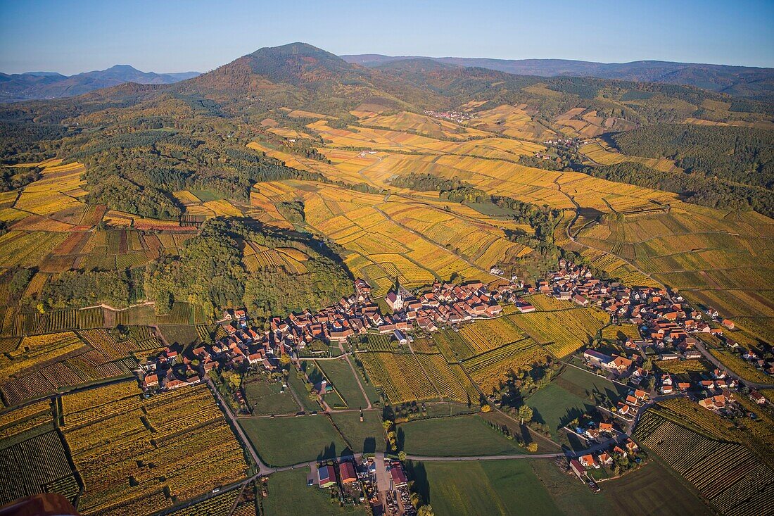 Frankreich, Bas Rhin, Elsässer Weinstraße, Nothalten, Dorf, Kirche, Weinberg (Luftbild)