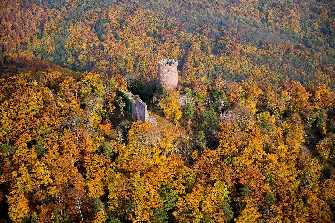 France, Haut Rhin, Ribeauville, Haut Ribeaupierre Castle (aerial view)