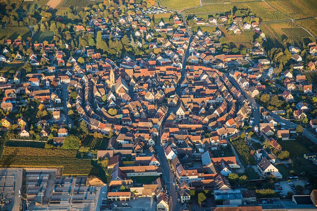 France, Haut Rhin, Alsace Wine Route, Eguisheim, labelled Les Plus Beaux Villages de France (The Most Beautiful Villages of France) (aerial view)