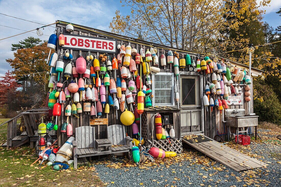 United States, Maine, Mt. Desert Island, Eden, traditional lobster shack seafood restaurant, autumn