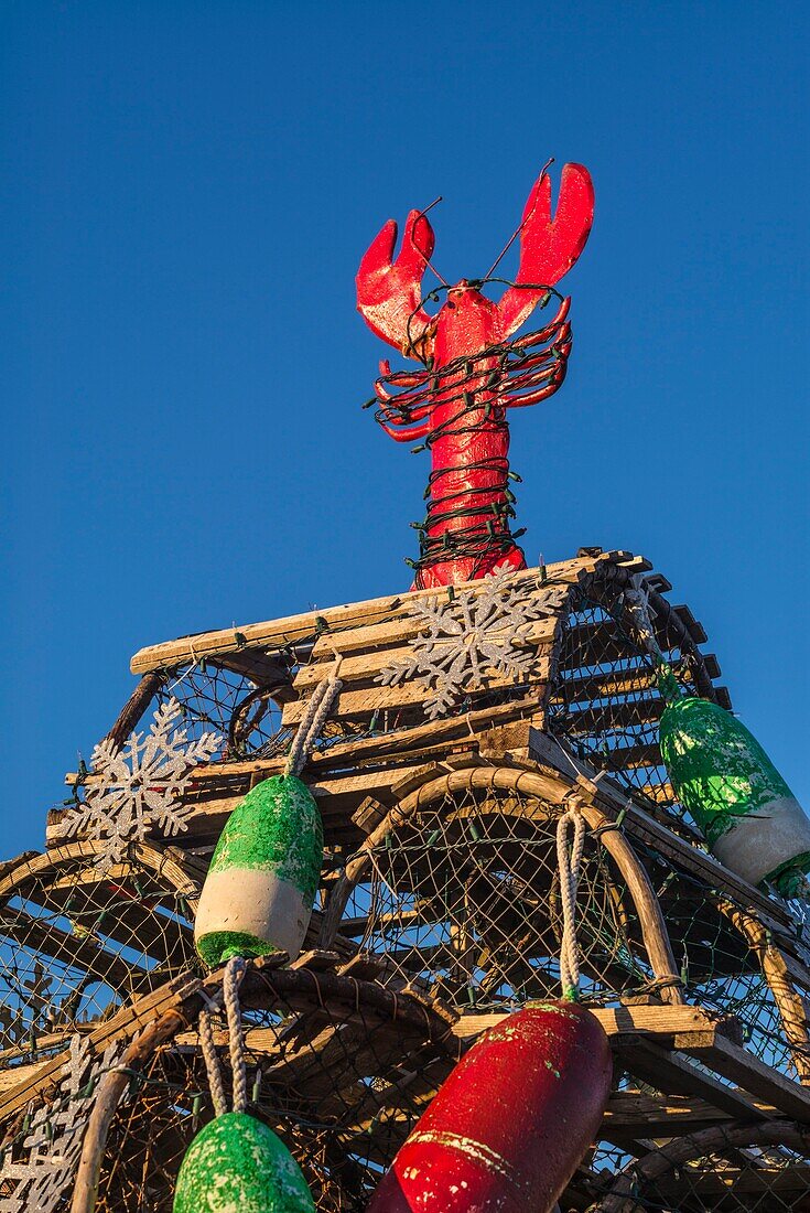 Vereinigte Staaten, Maine, York Beach, Hummerfalle, Weihnachtsbaum