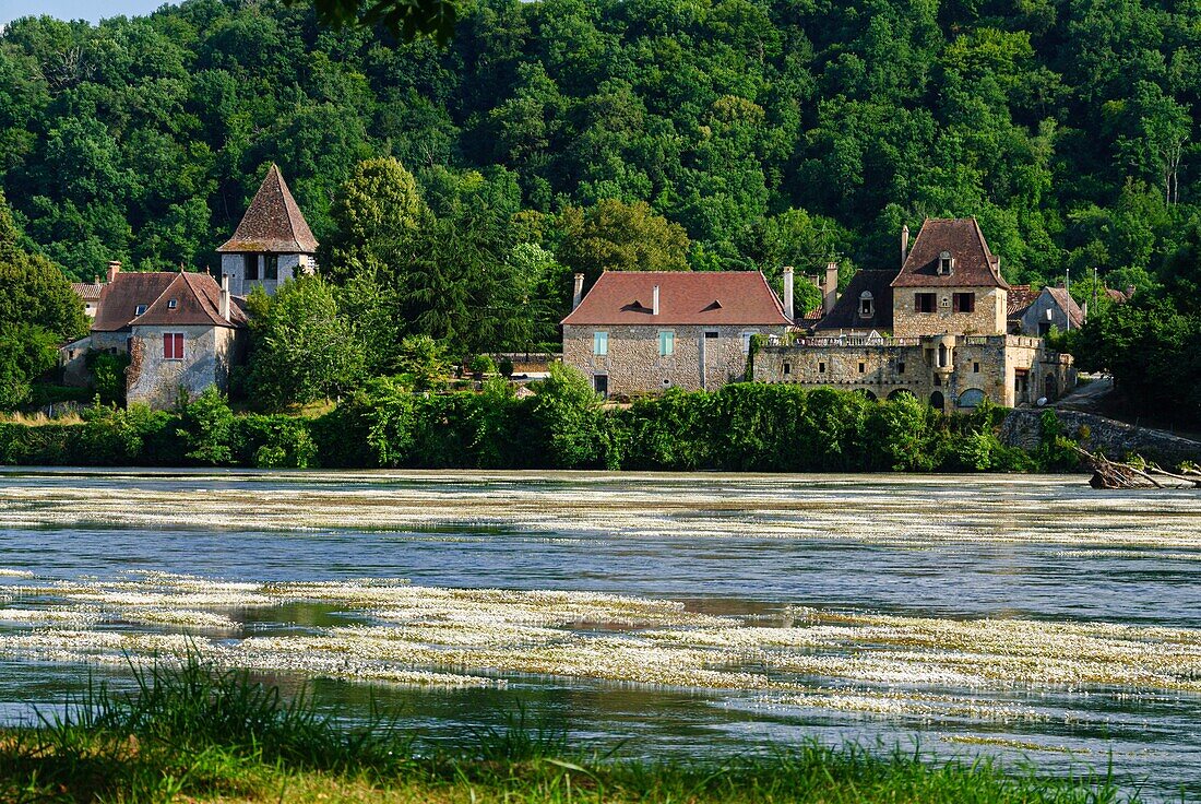 Frankreich, Dordogne, Badefols sur Dordogne entlang des Flusses Dordogne