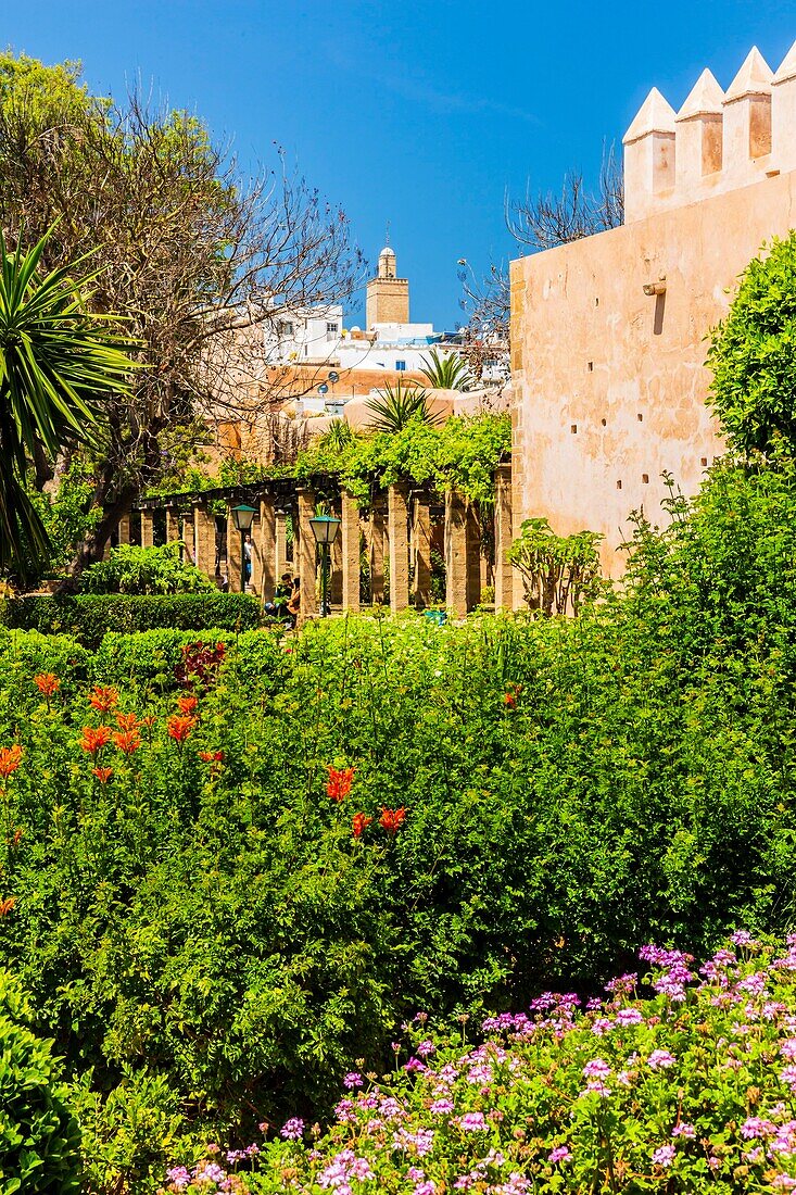 Marokko, Rabat, von der UNESCO zum Weltkulturerbe erklärt, Udayas kasbah (kasbah des Oudaïas), der andalusische Garten