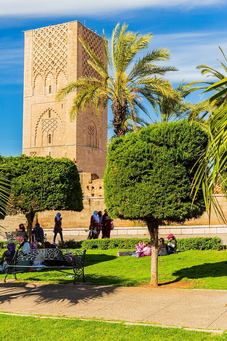 Marokko, Rabat, von der UNESCO zum Weltkulturerbe erklärt, Garten der Yacoub el Mansour Moschee, der Hassan-Turm