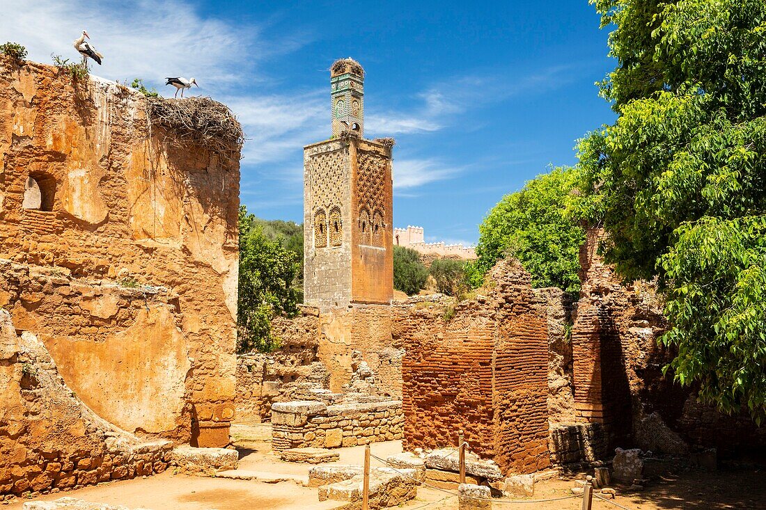 Marokko, Rabat, von der UNESCO zum Weltkulturerbe erklärt, Moschee im alten muslimischen Schrein von Chellah