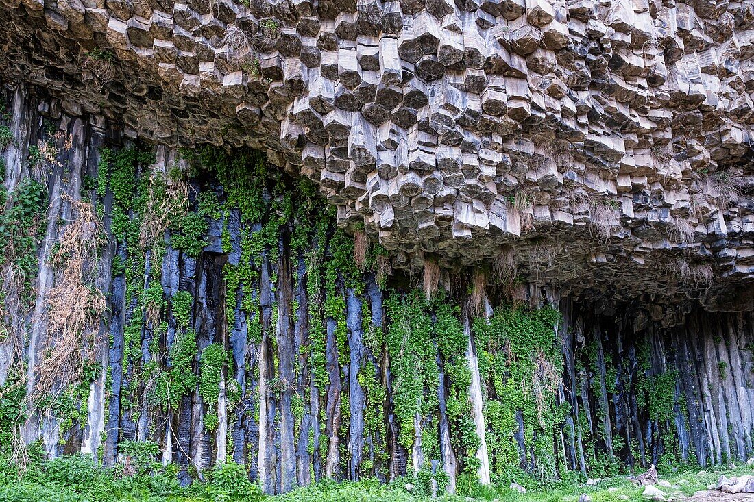 Armenia, Kotayk region, Garni, basalt column formations along the Azat river valley called Symphony of the Stones