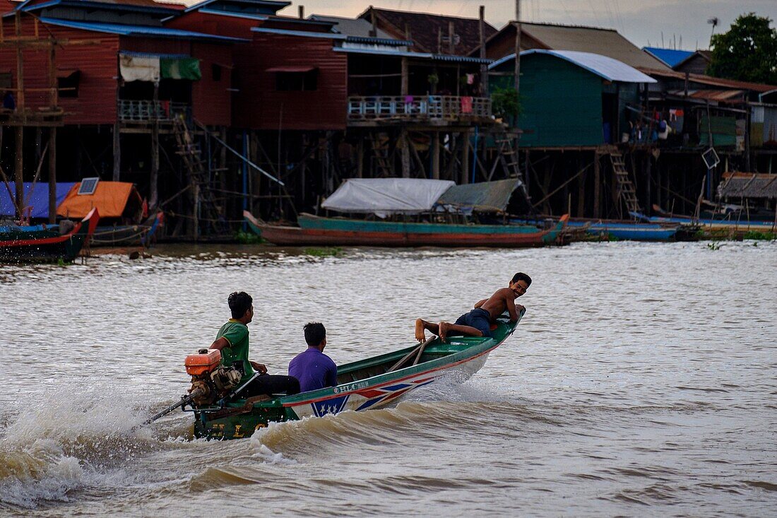 Cambodia, Kompong Kleang or Kampong Kleang, stilt houses village along the Tonle Sap lake