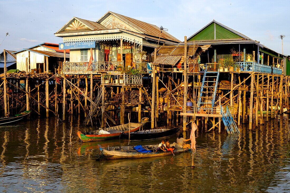 Cambodia, Kompong Phluc or Kampong Phluc, near Siem Reap, stilt house village, flooded forest on the banks of Tonlé Sap lake