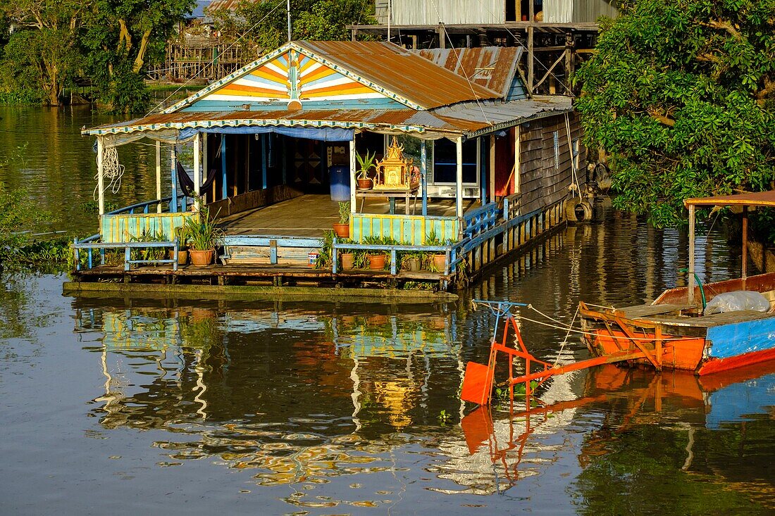 Kambodscha, Kompong Phluc oder Kampong Phluc, bei Siem Reap, Stelzendörfer, überschwemmter Wald am Ufer des Tonlé-Sap-Sees