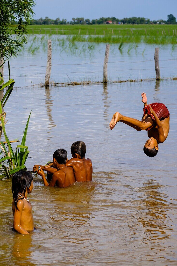 Cambodia, Kompong Thom province, Kompong Thom or Kampong Thom, children playing in the flooded ricefields