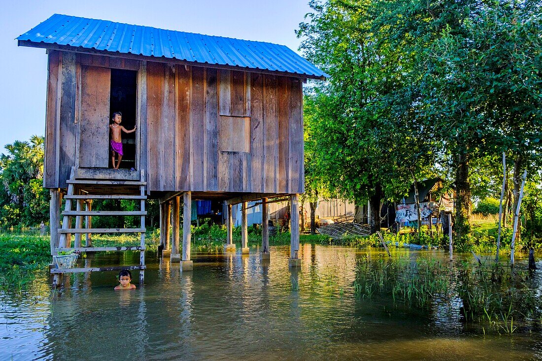 Cambodia, Kompong Thom province, Kompong Thom or Kampong Thom, traditional stilt house in flooded village