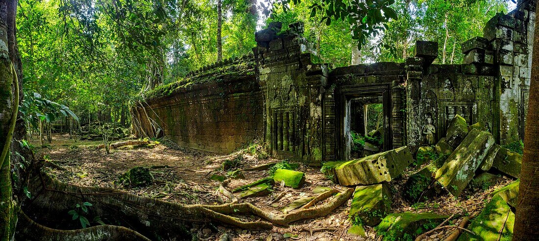 Cambodia, Angkor on World Heritage list of UNESCO, Preah Khan of Angkor, built in 1191 by King Jayavarman VII