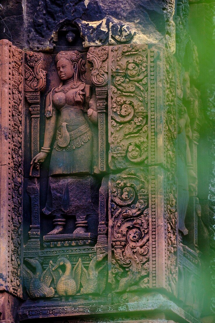 Cambodia, Angkor on World Heritage list of UNESCO, Banteay Srei, built in 10 th century, Apsara or Devadata