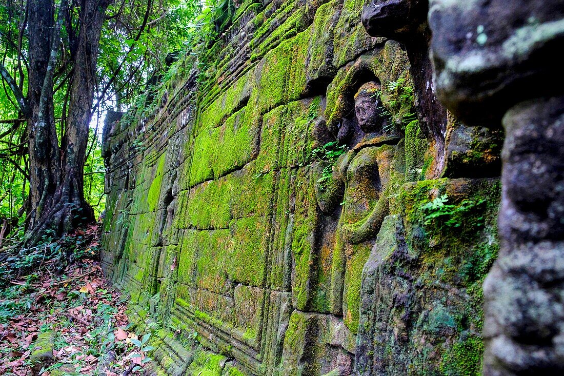 Cambodia, Angkor on World Heritage list of UNESCO, Ta Prohm temple, built in 12 th. century, by King Jayavarman VII, Apsara or Devadata statue