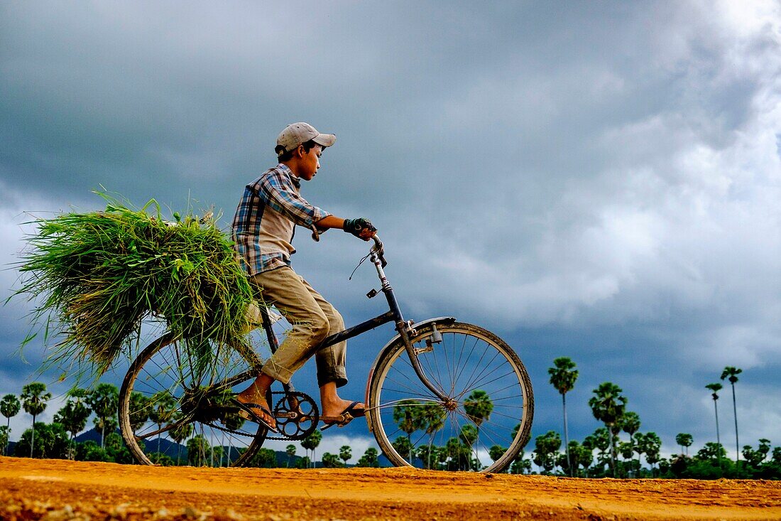 Cambodia, Kompong Chhnang or Kampong Chhnang, back from trees